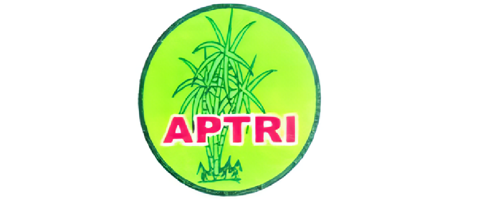 gambar basiscrop